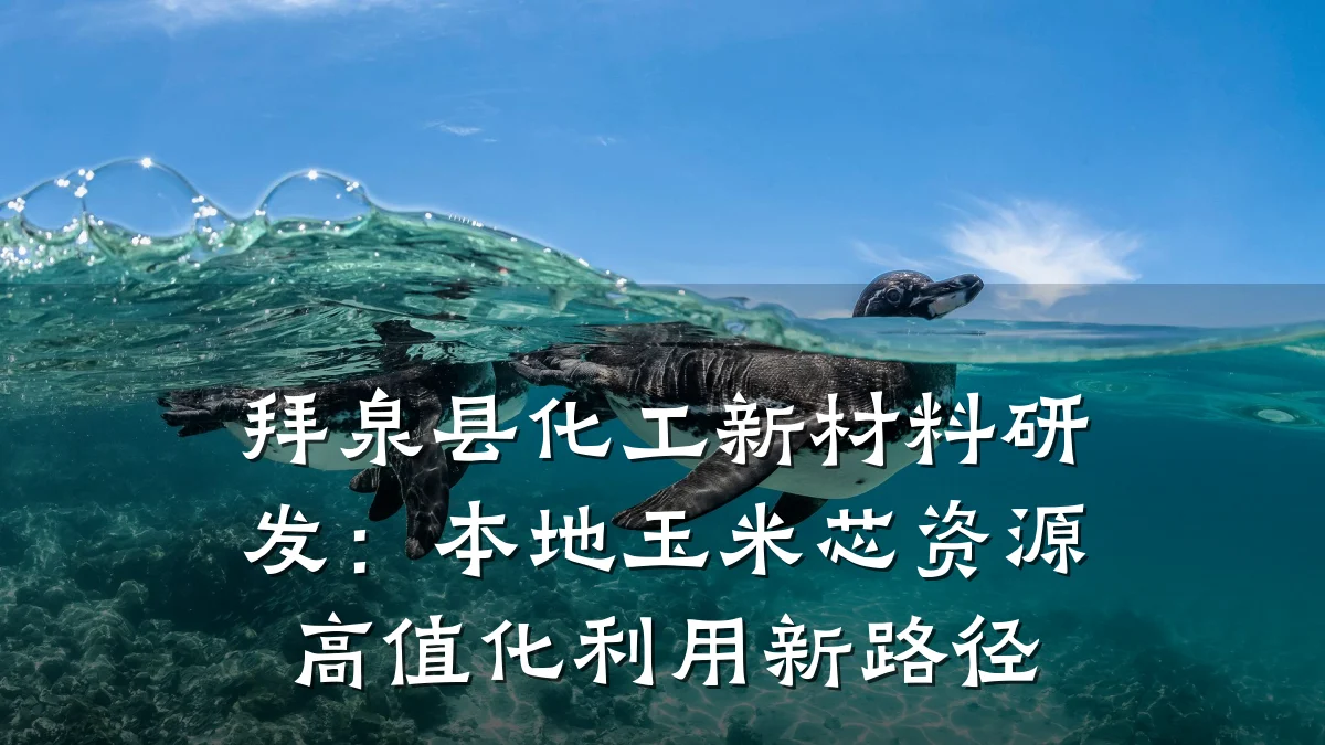 拜泉县化工新材料研发：本地玉米芯资源高值化利用新路径