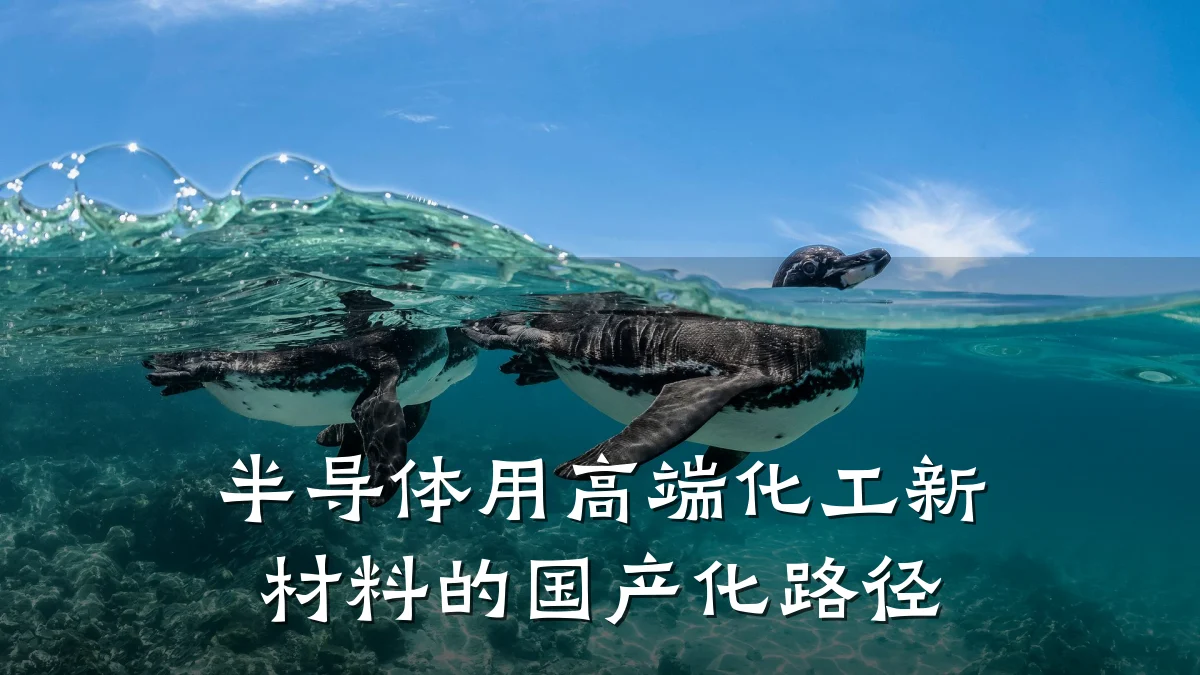 半导体用高端化工新材料的国产化路径