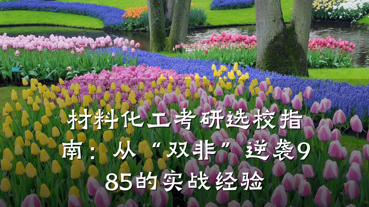 材料化工考研选校指南:从“双非”逆袭985的实战经验