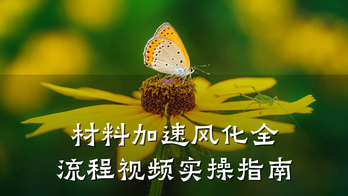 材料加速风化全流程视频实操指南
