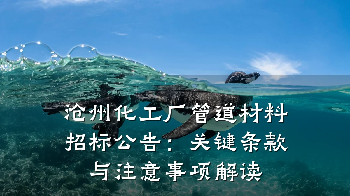 沧州化工厂管道材料招标公告：关键条款与注意事项解读