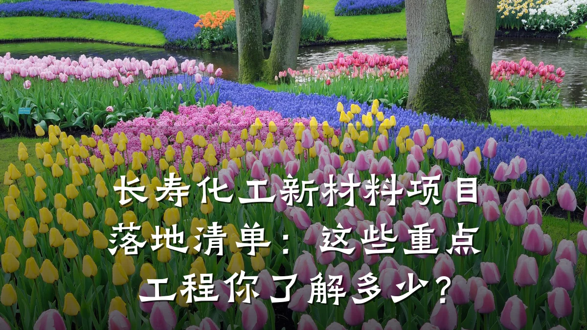 长寿化工新材料项目落地清单：这些重点工程你了解多少？