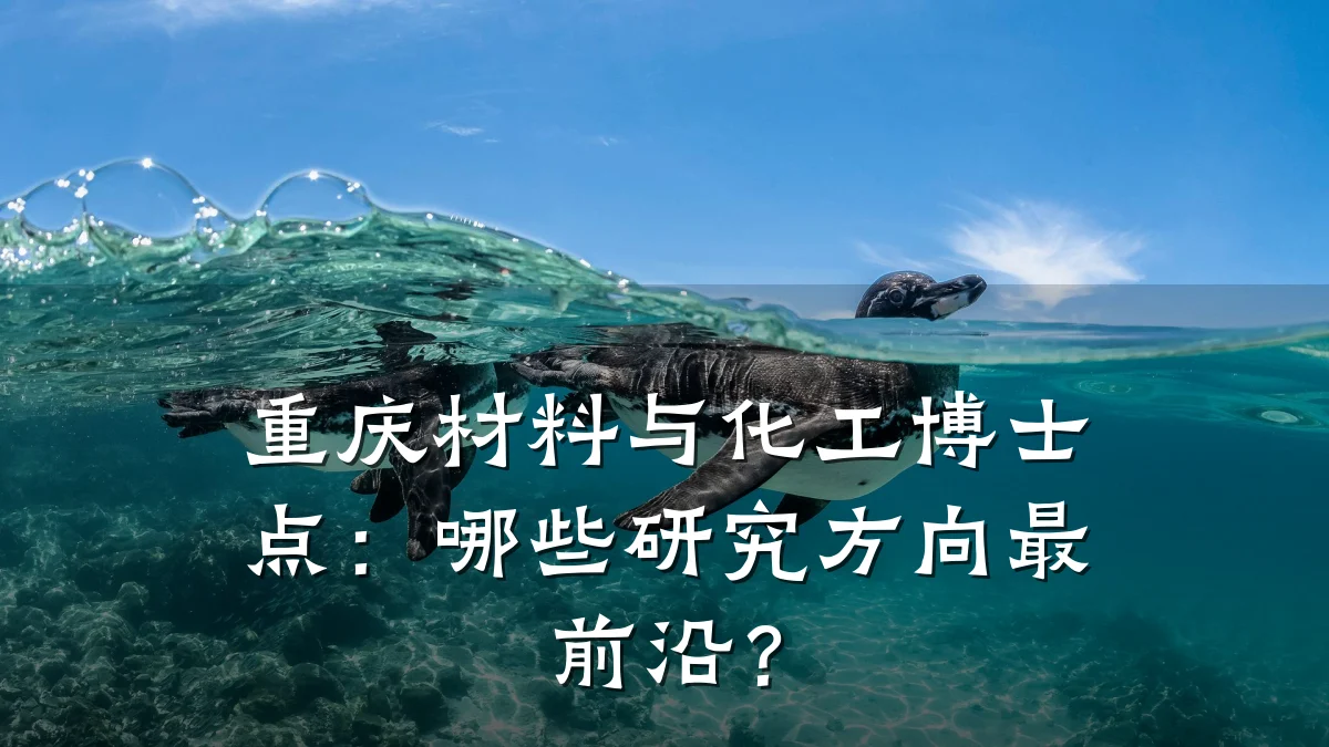 重庆材料与化工博士点:哪些研究方向最前沿?