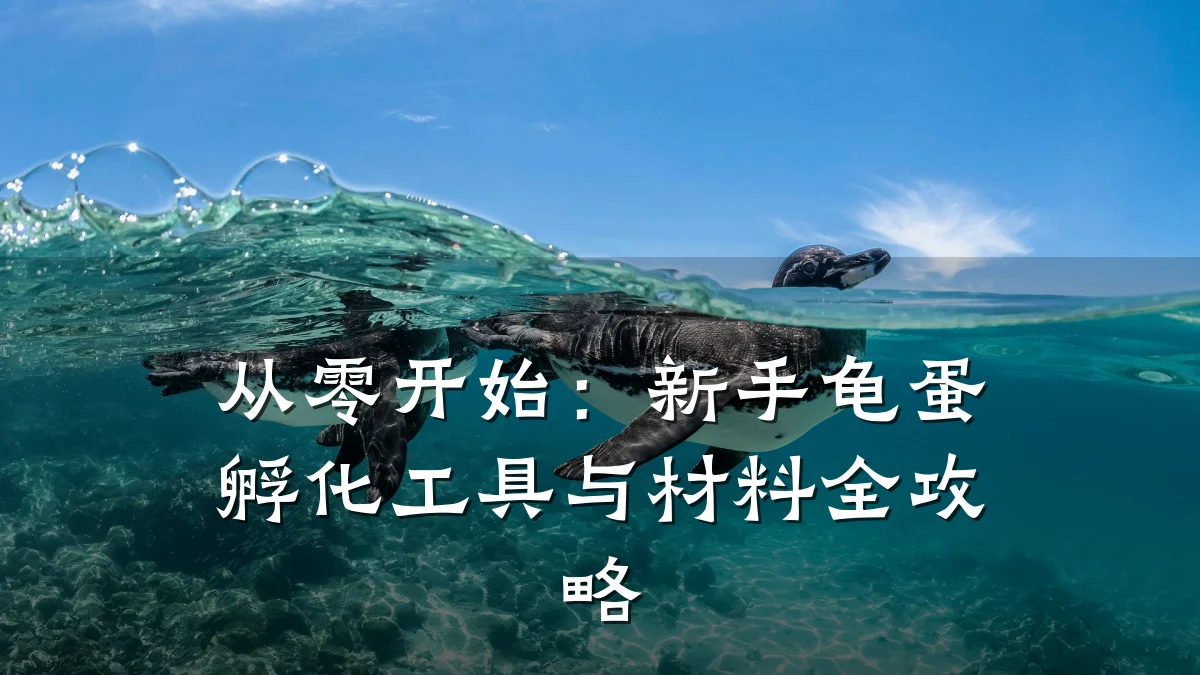 从零开始：新手龟蛋孵化工具与材料全攻略