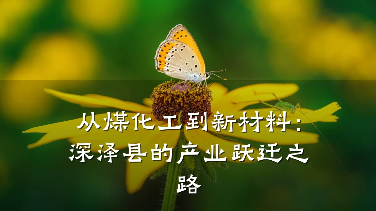 从煤化工到新材料：深泽县的产业跃迁之路
