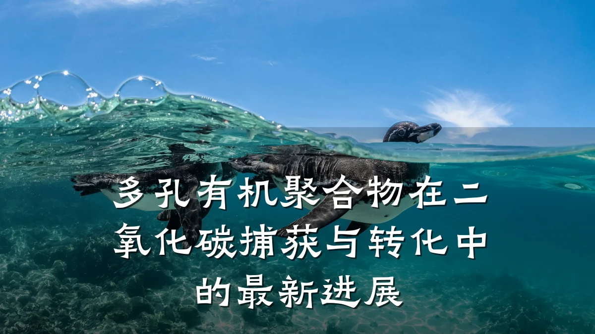 多孔有机聚合物在二氧化碳捕获与转化中的最新进展