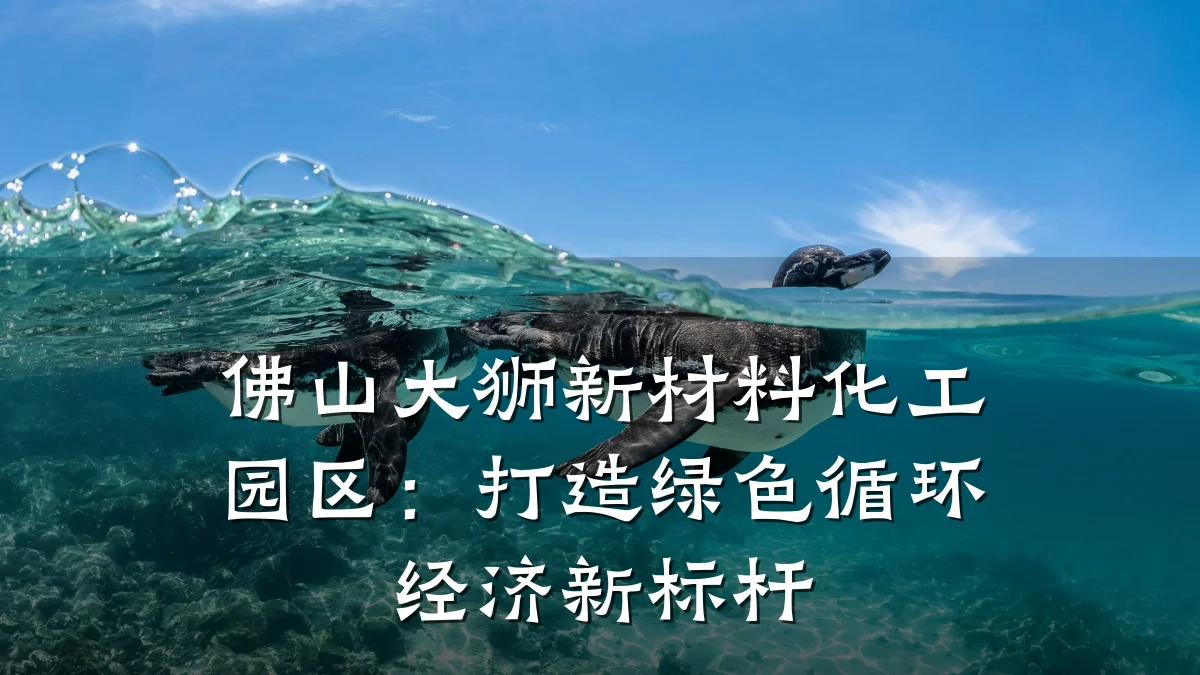 佛山大狮新材料化工园区：打造绿色循环经济新标杆