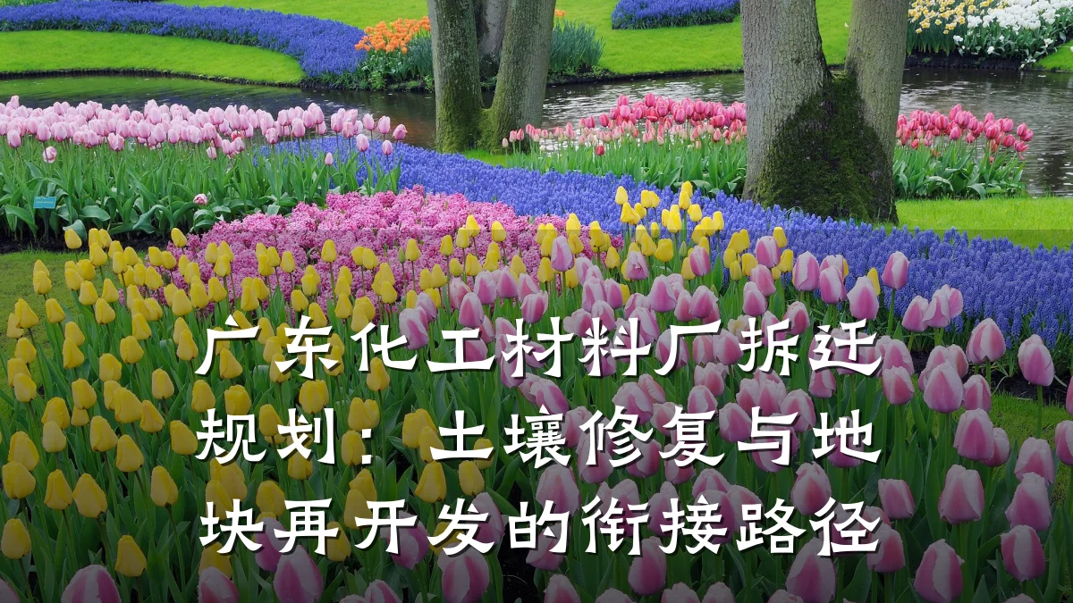 广东化工材料厂拆迁规划：土壤修复与地块再开发的衔接路径