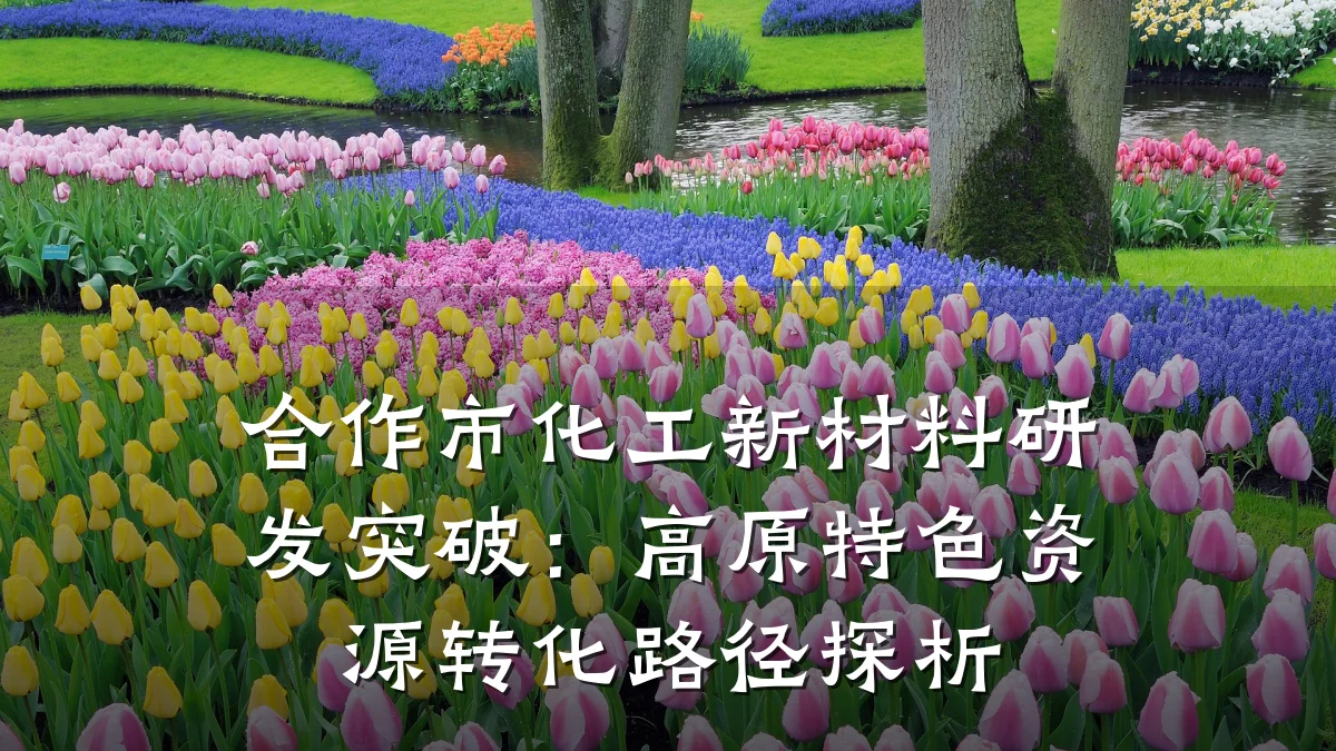 合作市化工新材料研发突破:高原特色资源转化路径探析