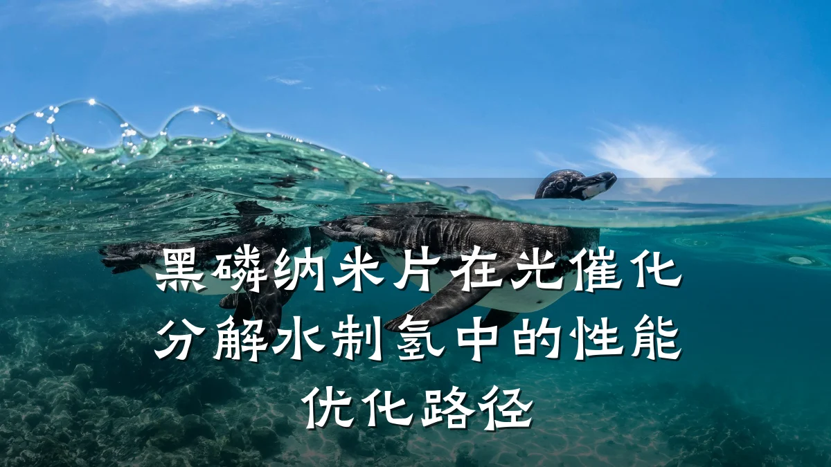 黑磷纳米片在光催化分解水制氢中的性能优化路径