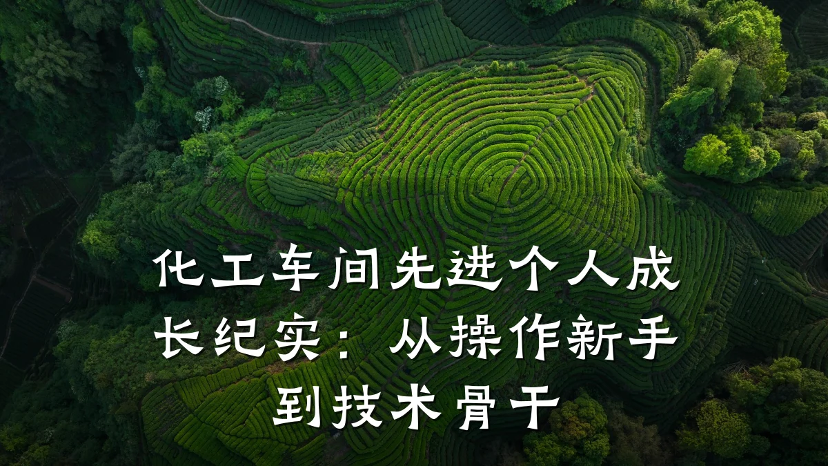 化工车间先进个人成长纪实:从操作新手到技术骨干