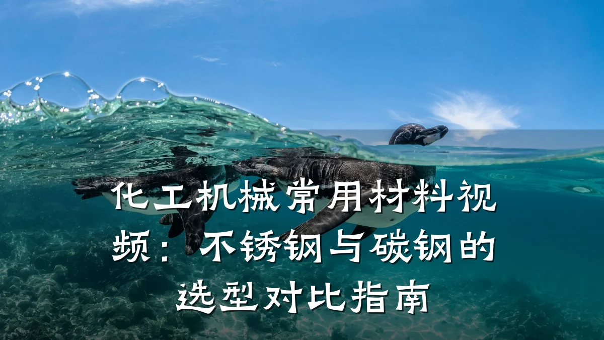 化工机械常用材料视频:不锈钢与碳钢的选型对比指南