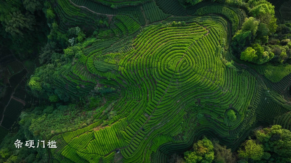 条硬门槛