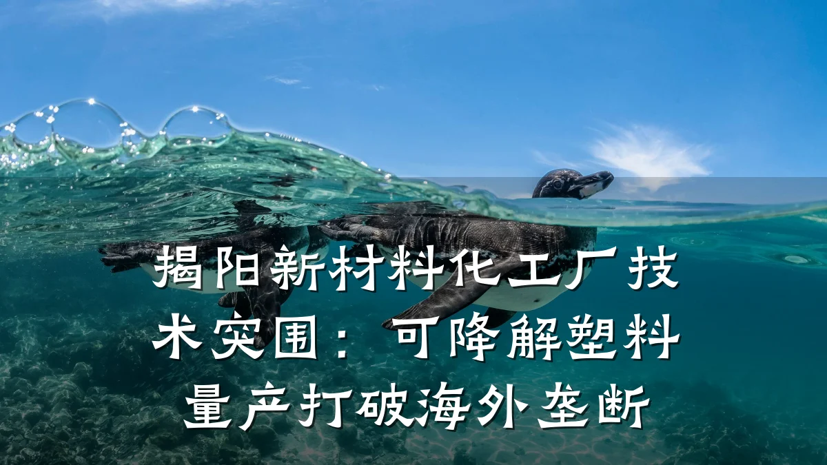 揭阳新材料化工厂技术突围:可降解塑料量产打破海外垄断