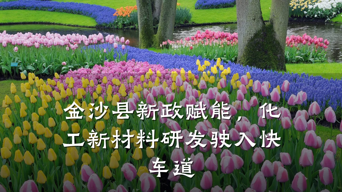 金沙县新政赋能，化工新材料研发驶入快车道