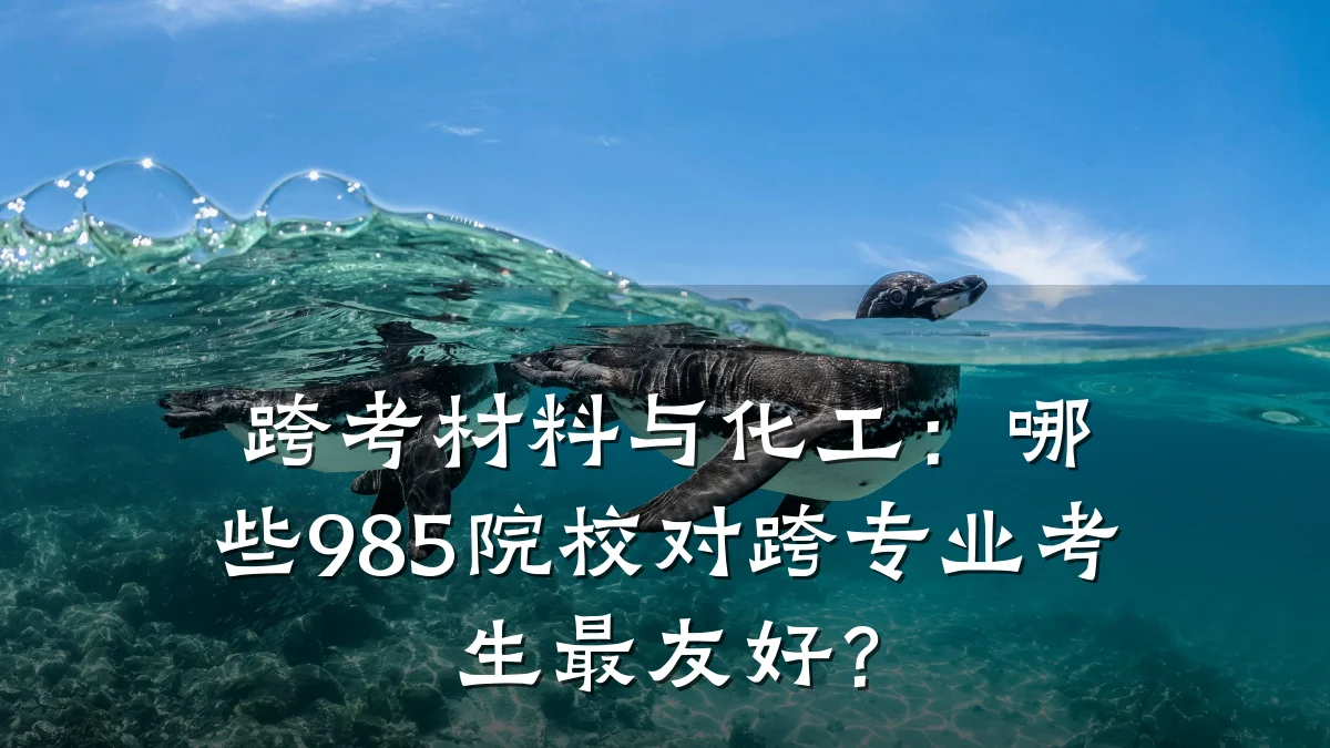 跨考材料与化工：哪些985院校对跨专业考生最友好？