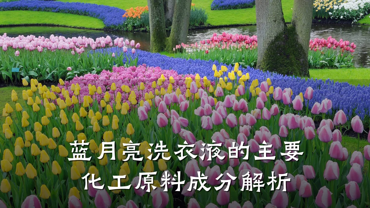 蓝月亮洗衣液的主要化工原料成分解析