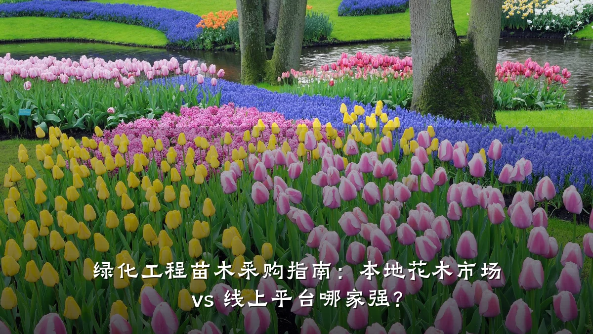 绿化工程苗木采购指南：本地花木市场 vs 线上平台哪家强？