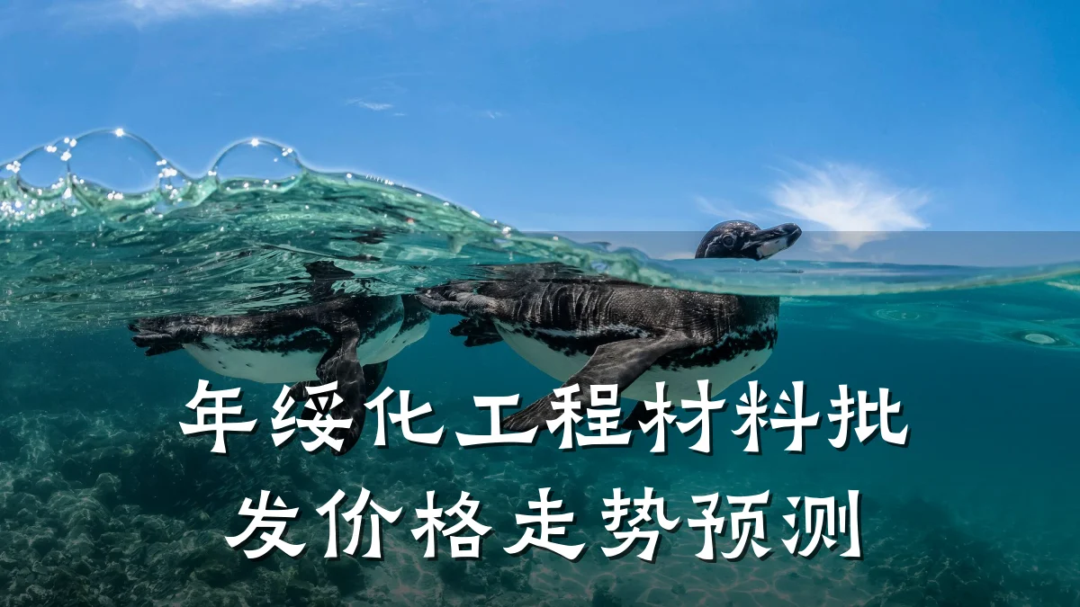 年绥化工程材料批发价格走势预测