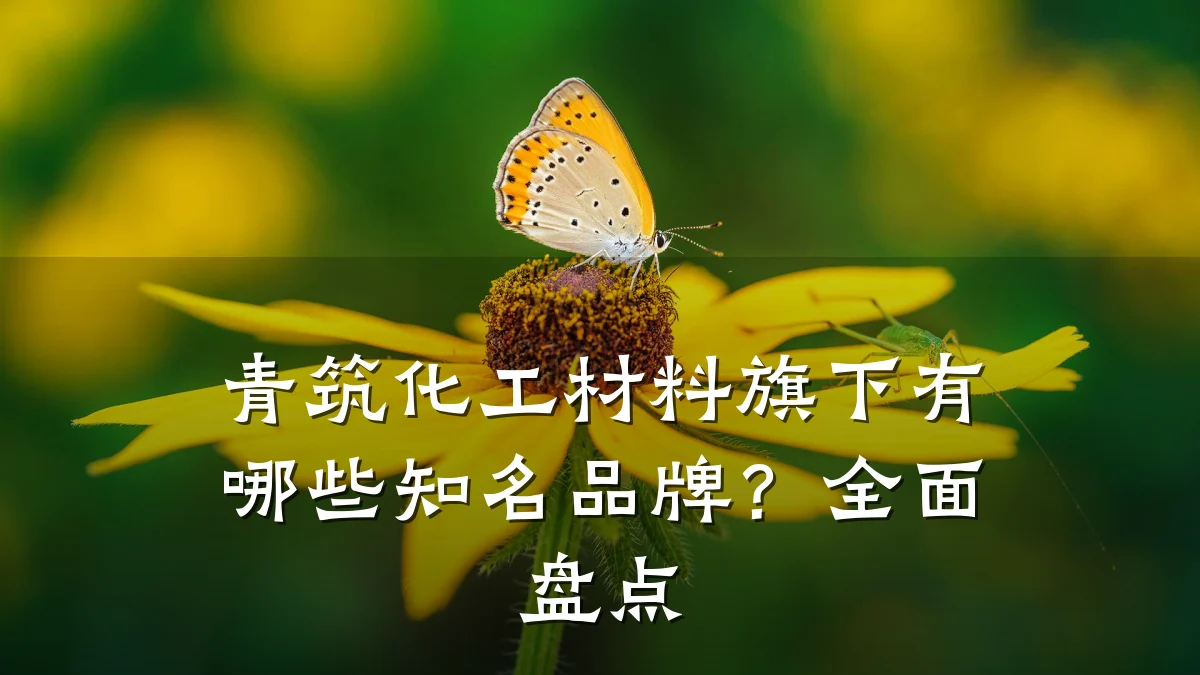 青筑化工材料旗下有哪些知名品牌？全面盘点