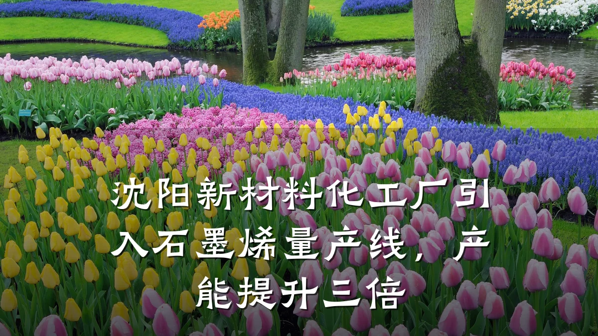 沈阳新材料化工厂引入石墨烯量产线，产能提升三倍