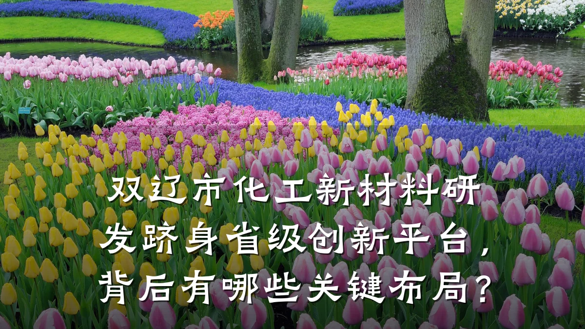 双辽市化工新材料研发跻身省级创新平台，背后有哪些关键布局？