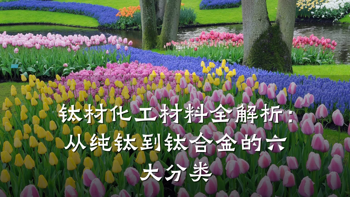 钛材化工材料全解析:从纯钛到钛合金的六大分类