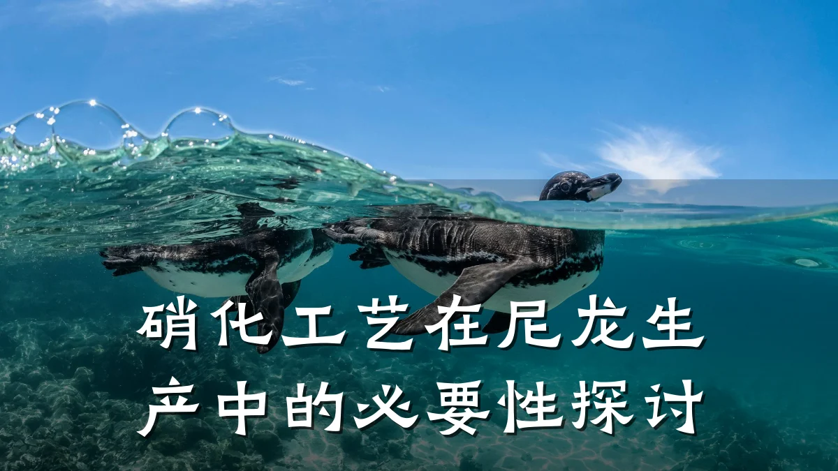 硝化工艺在尼龙生产中的必要性探讨