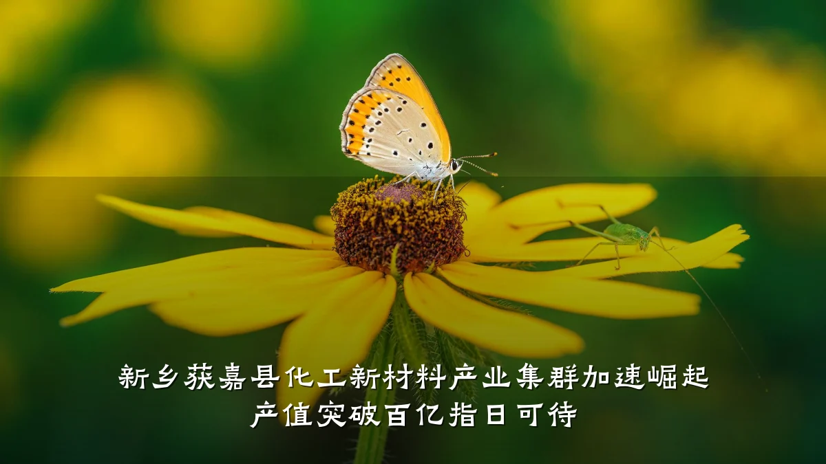 新乡获嘉县化工新材料产业集群加速崛起 产值突破百亿指日可待