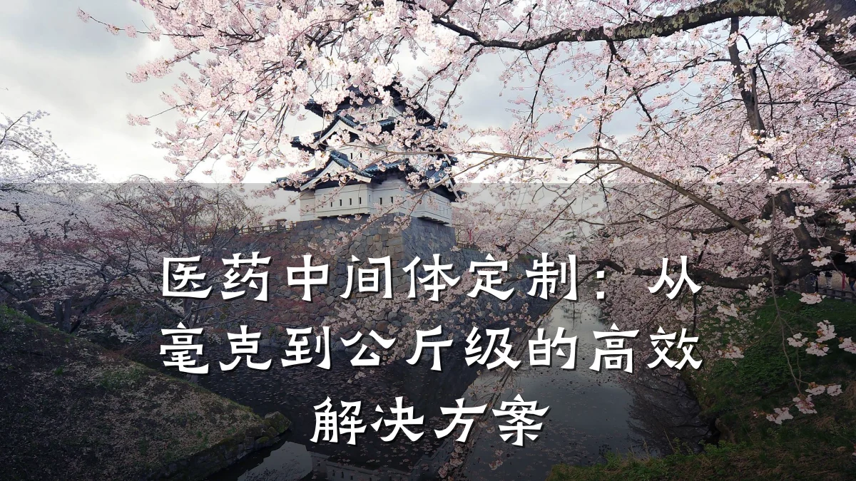 医药中间体定制：从毫克到公斤级的高效解决方案