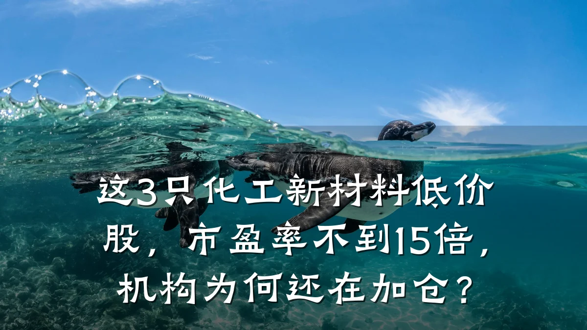 这3只化工新材料低价股,市盈率不到15倍,机构为何还在加仓?