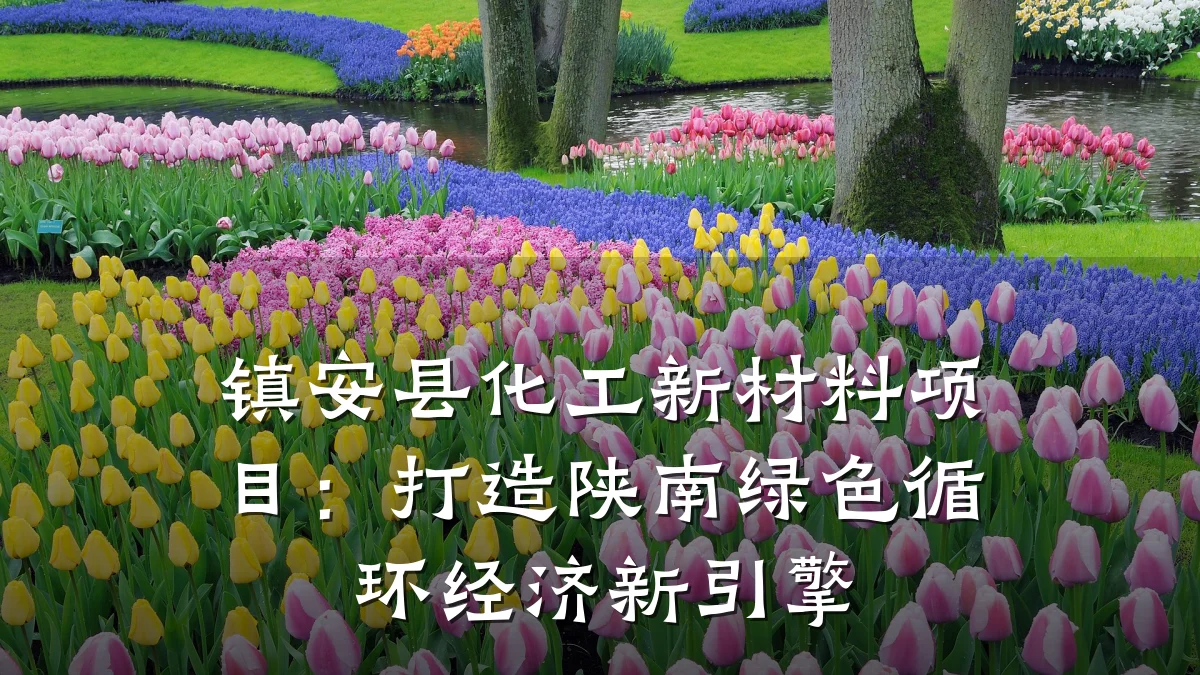 镇安县化工新材料项目:打造陕南绿色循环经济新引擎