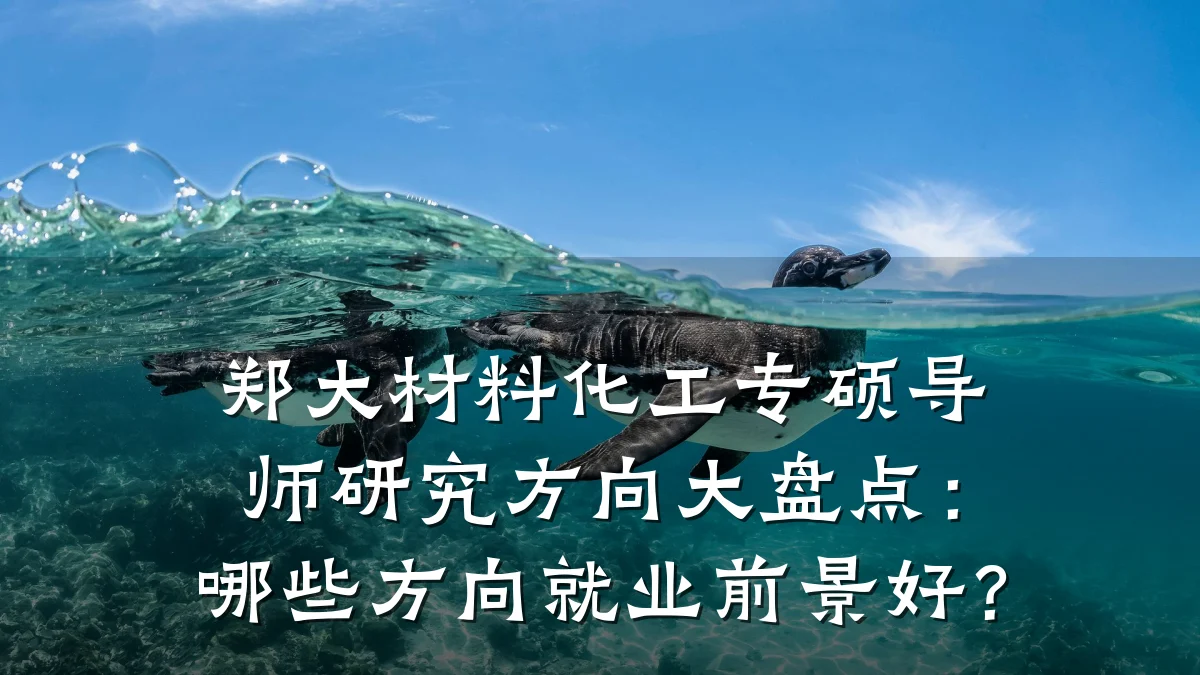 郑大材料化工专硕导师研究方向大盘点：哪些方向就业前景好？