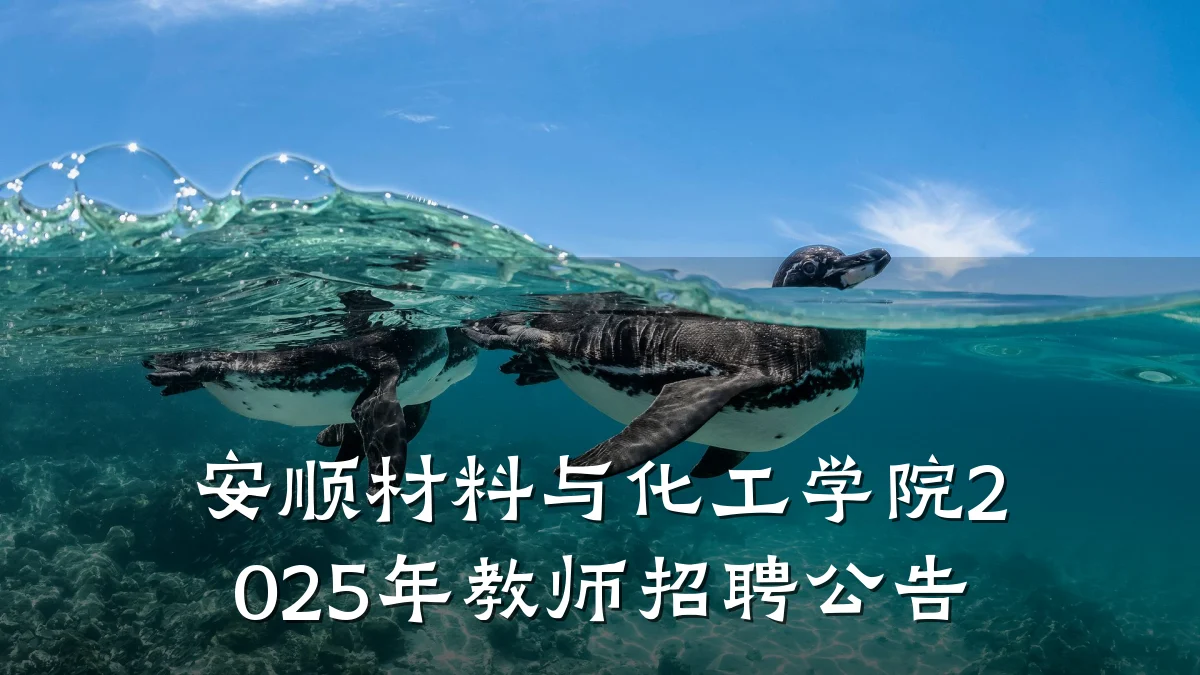 安顺材料与化工学院2025年教师招聘公告