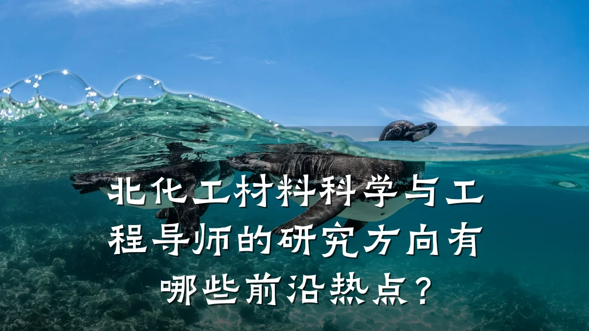 北化工材料科学与工程导师的研究方向有哪些前沿热点？