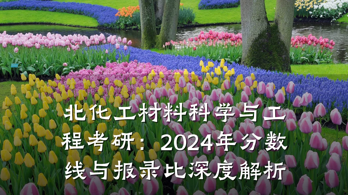 北化工材料科学与工程考研：2024年分数线与报录比深度解析