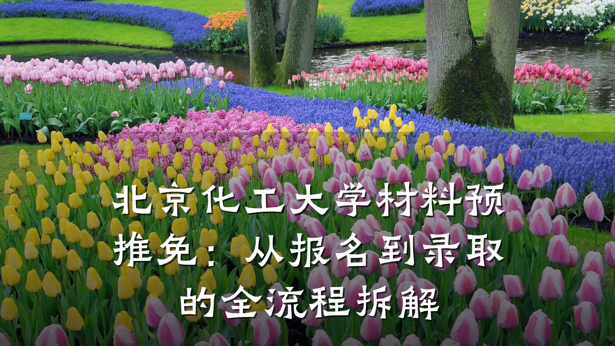 北京化工大学材料预推免：从报名到录取的全流程拆解