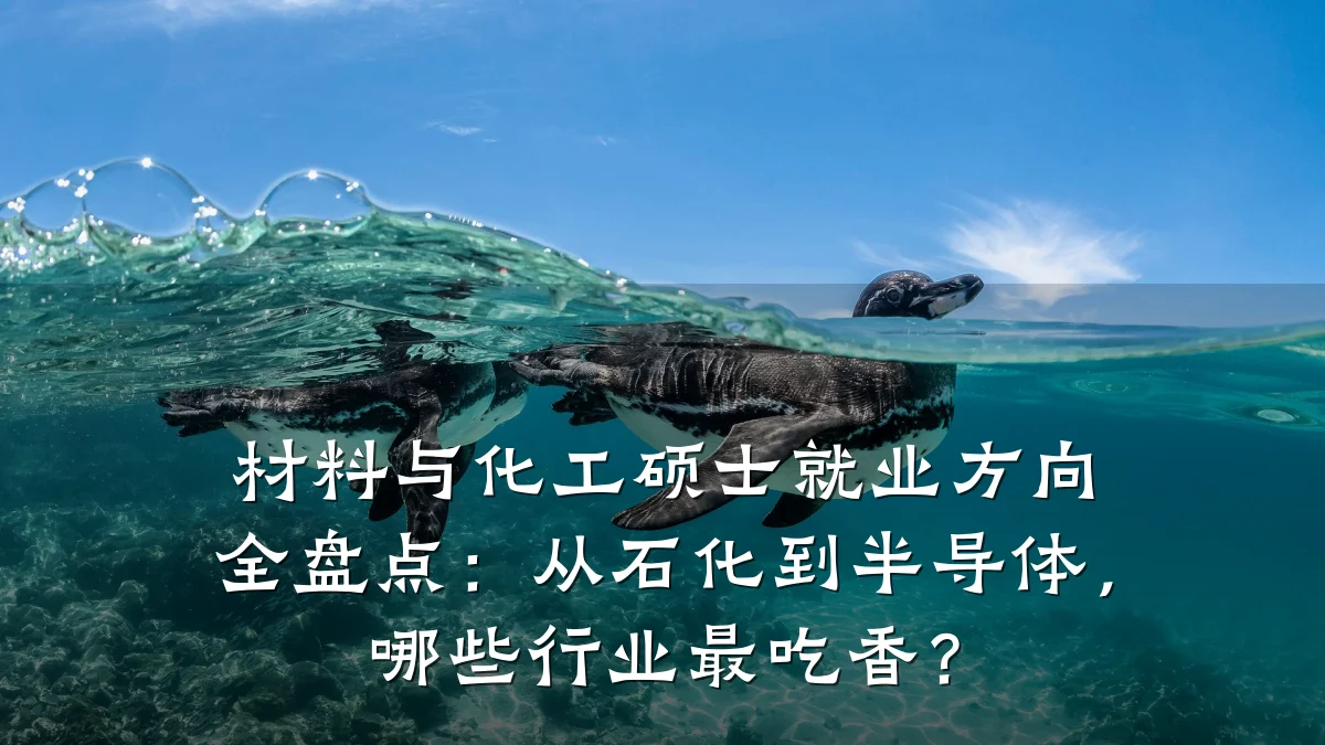 材料与化工硕士就业方向全盘点：从石化到半导体，哪些行业最吃香？