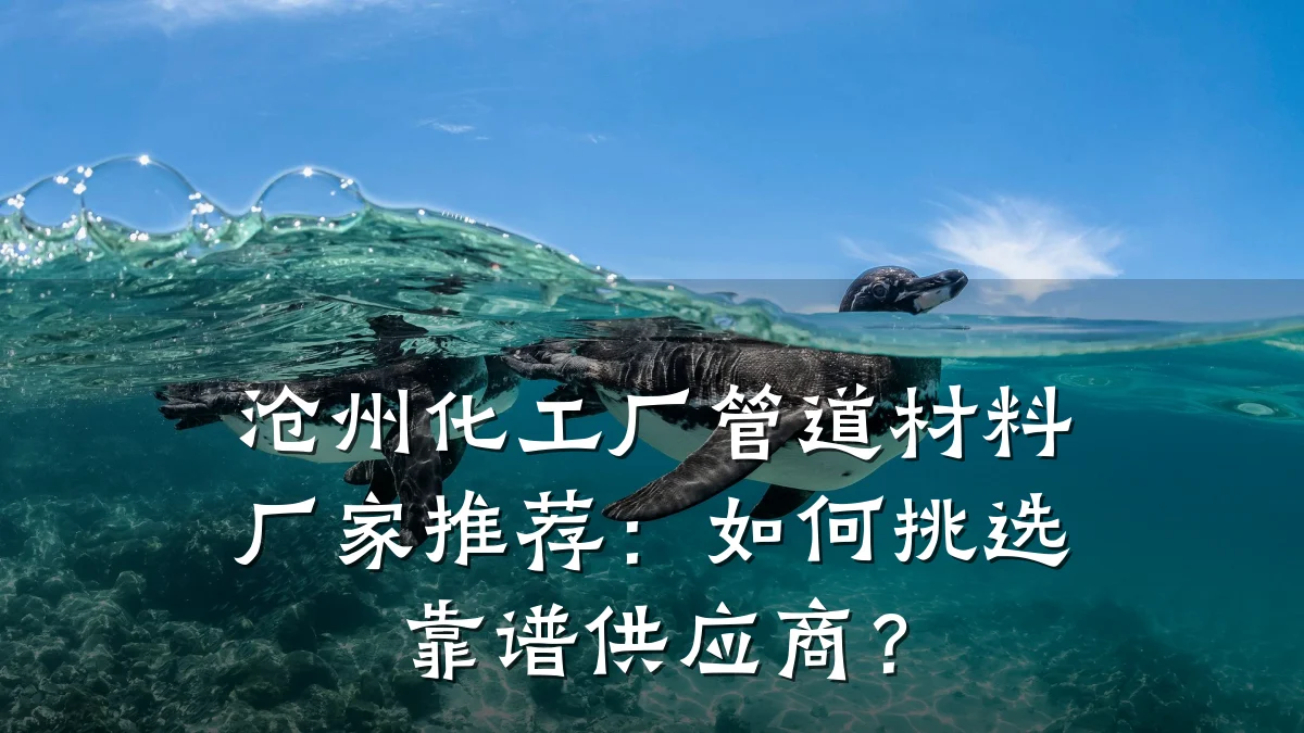 沧州化工厂管道材料厂家推荐:如何挑选靠谱供应商?