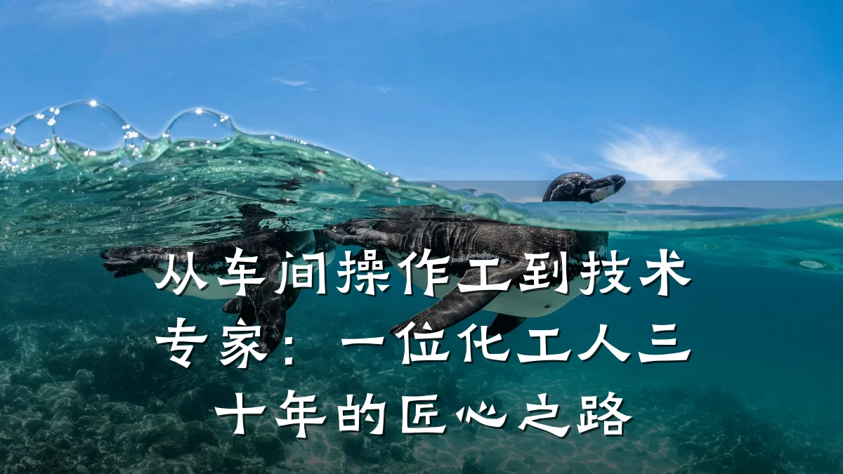 从车间操作工到技术专家：一位化工人三十年的匠心之路