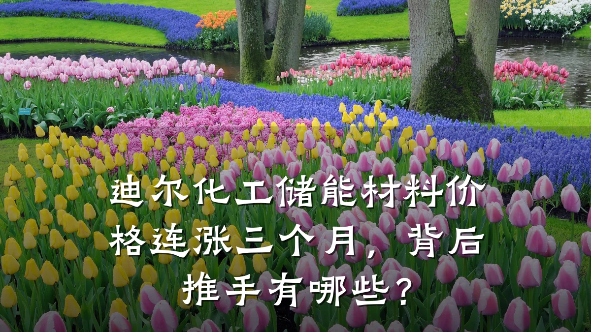 迪尔化工储能材料价格连涨三个月，背后推手有哪些？