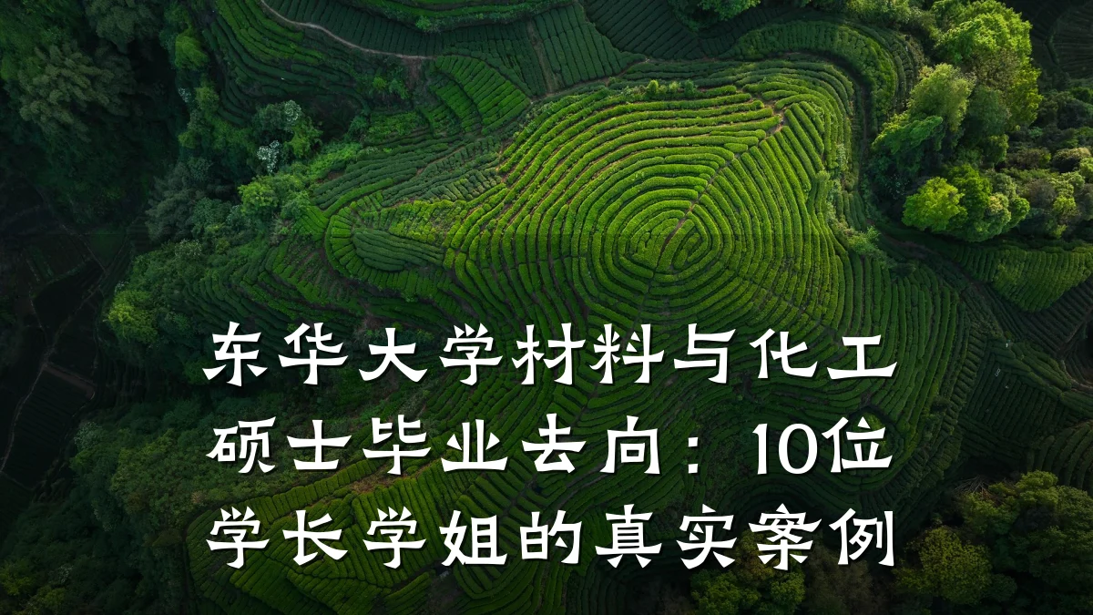 东华大学材料与化工硕士毕业去向:10位学长学姐的真实案例