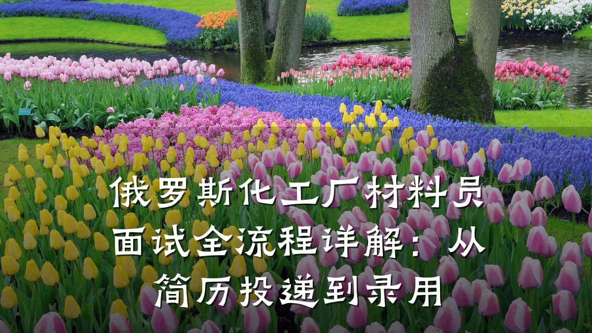 俄罗斯化工厂材料员面试全流程详解：从简历投递到录用