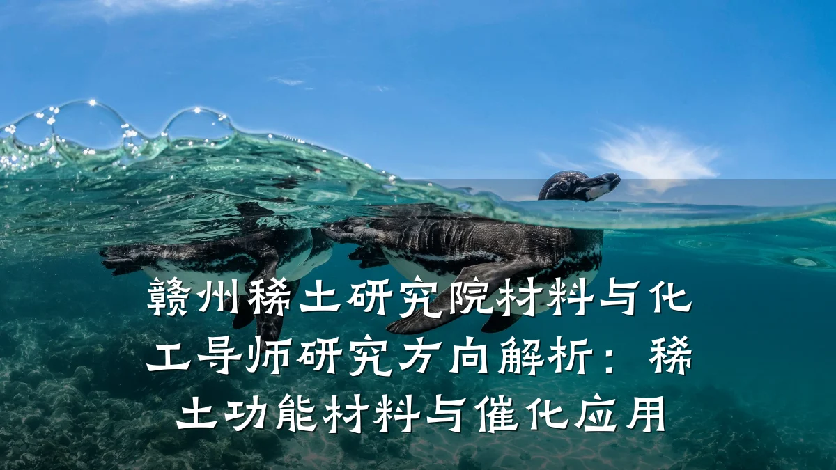 赣州稀土研究院材料与化工导师研究方向解析：稀土功能材料与催化应用