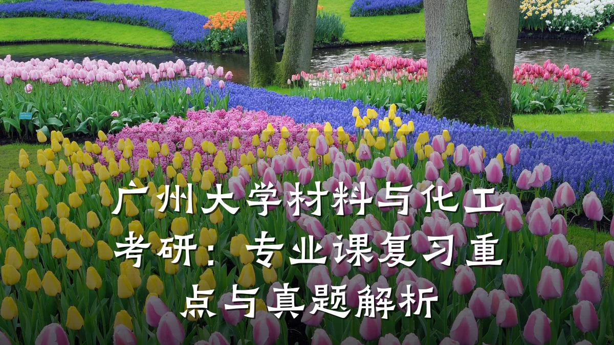 广州大学材料与化工考研：专业课复习重点与真题解析