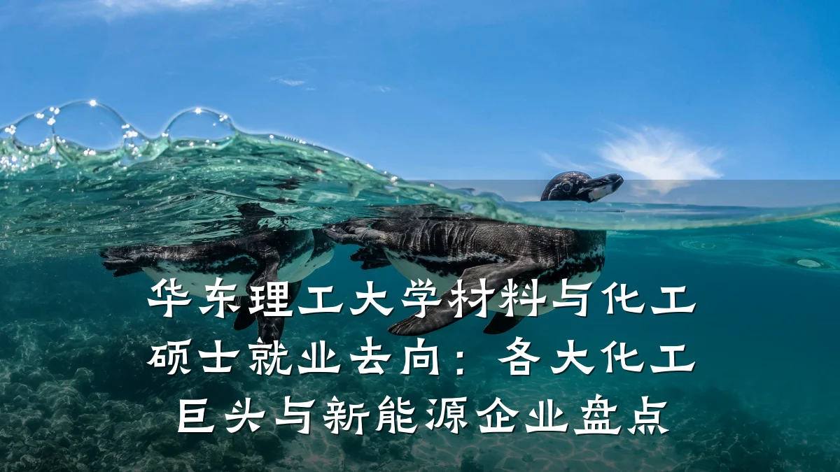 华东理工大学材料与化工硕士就业去向：各大化工巨头与新能源企业盘点