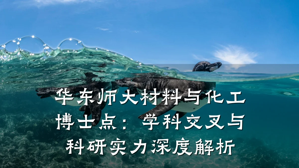 华东师大材料与化工博士点:学科交叉与科研实力深度解析