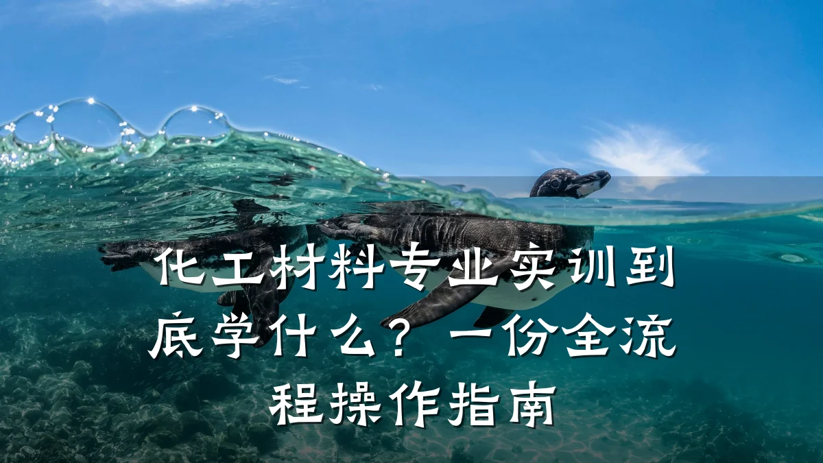 化工材料专业实训到底学什么?一份全流程操作指南