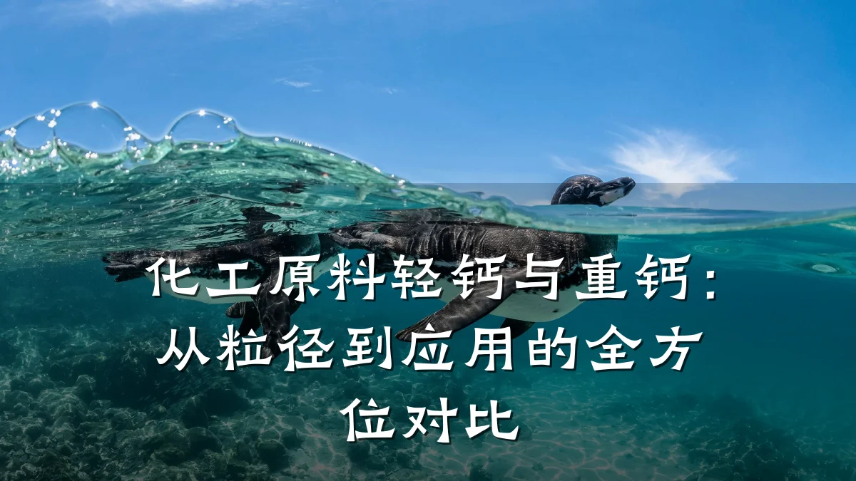 化工原料轻钙与重钙:从粒径到应用的全方位对比