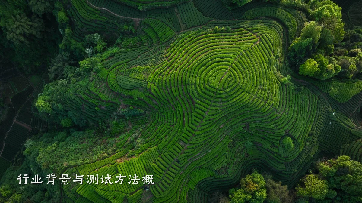行业背景与测试方法概